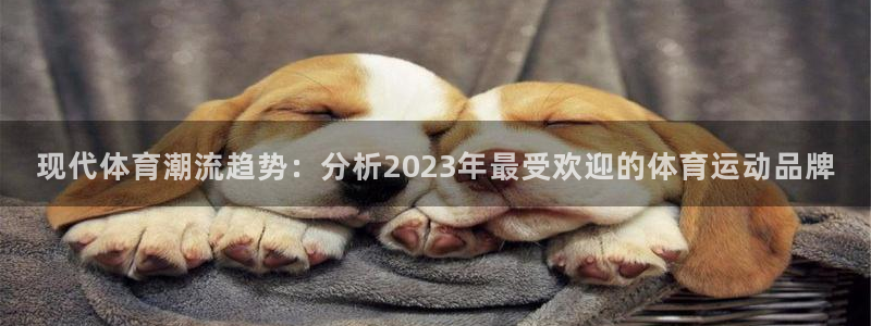 3377体育官方正版app集团官网首页网址:现代体育潮流趋势