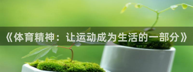 3377体育官方正版app科技:《体育精神:让运动成为生活的